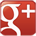 Google+ button
